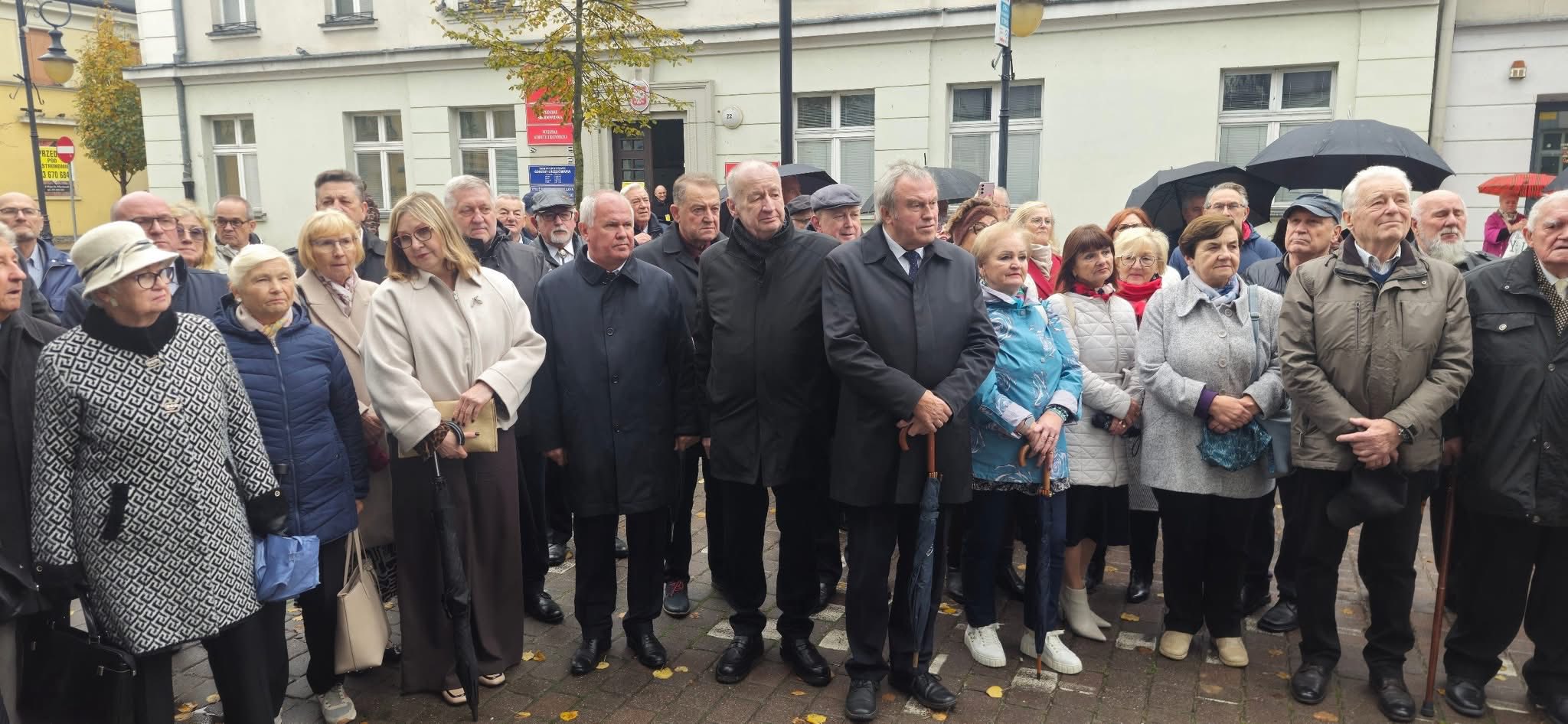 pawlak rok w senacie 10